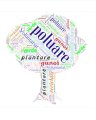 Word Cloud