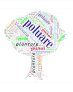 Word Cloud